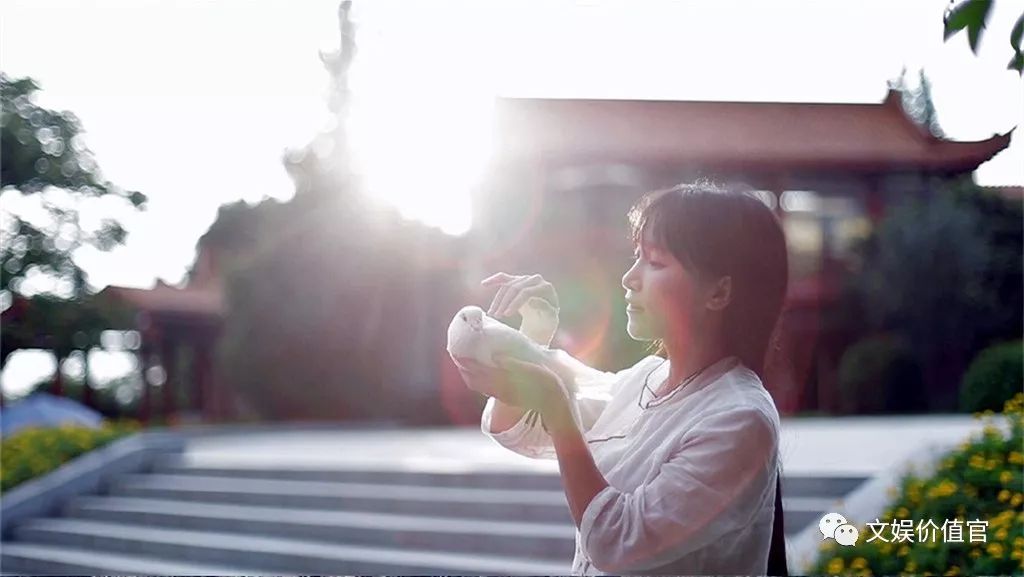 蔡徐坤李子柒,收入过亿的网红名单