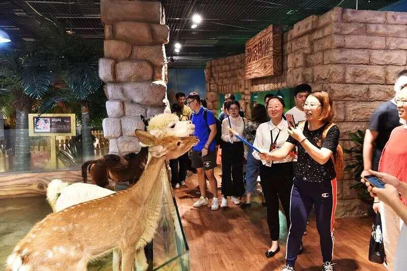 鐢靛晢浼犵粺鍟嗕笟鎬庝箞绐佸洿,鐢靛晢濡備綍绐佸洿浼犵粺鍟嗕笟