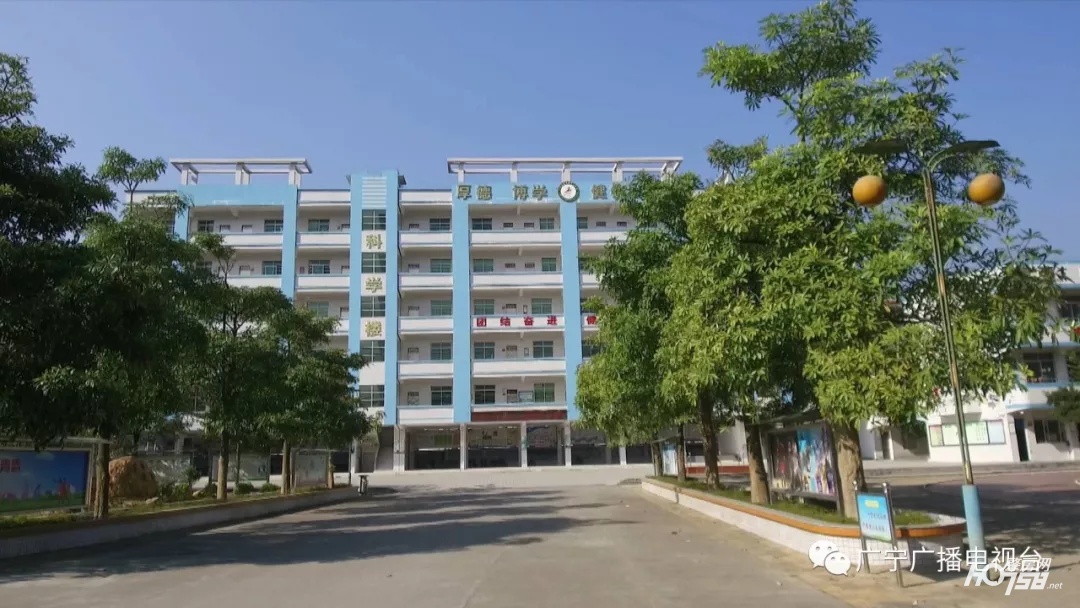 宾亨镇中心学校图片,宾亨镇中心学校2017