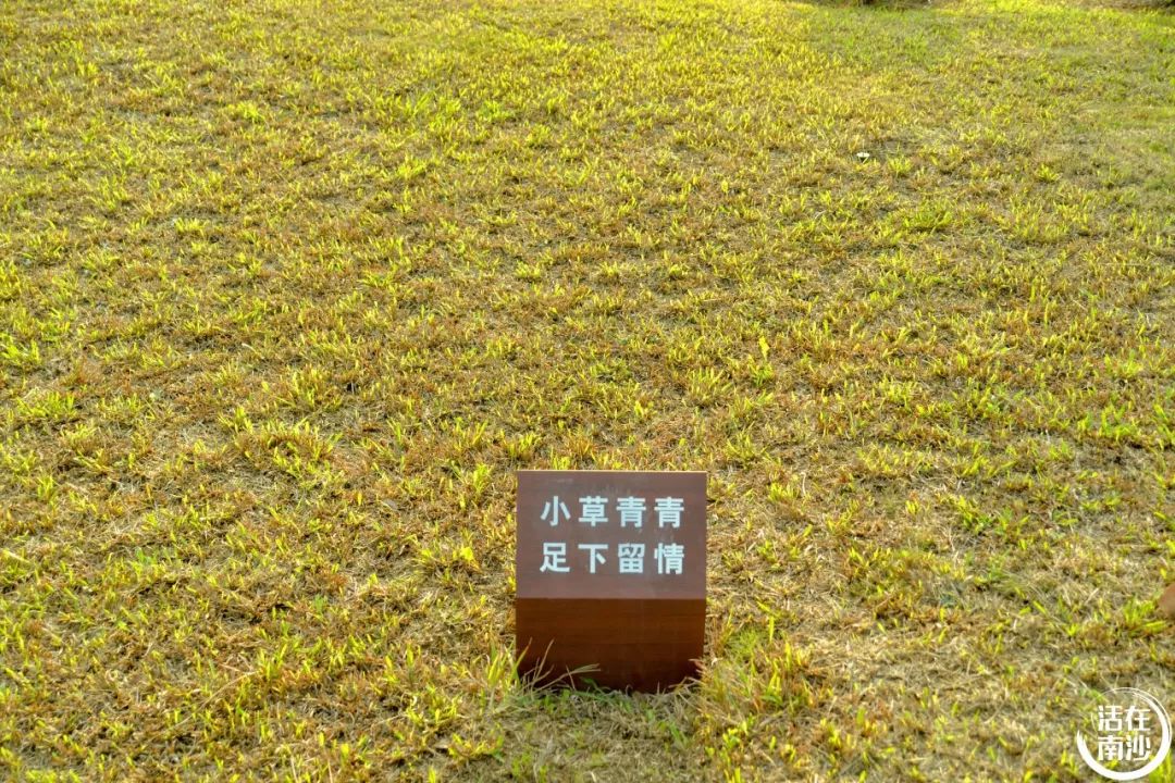 南沙凤凰湖以前叫什么名字,南沙凤凰湖历史