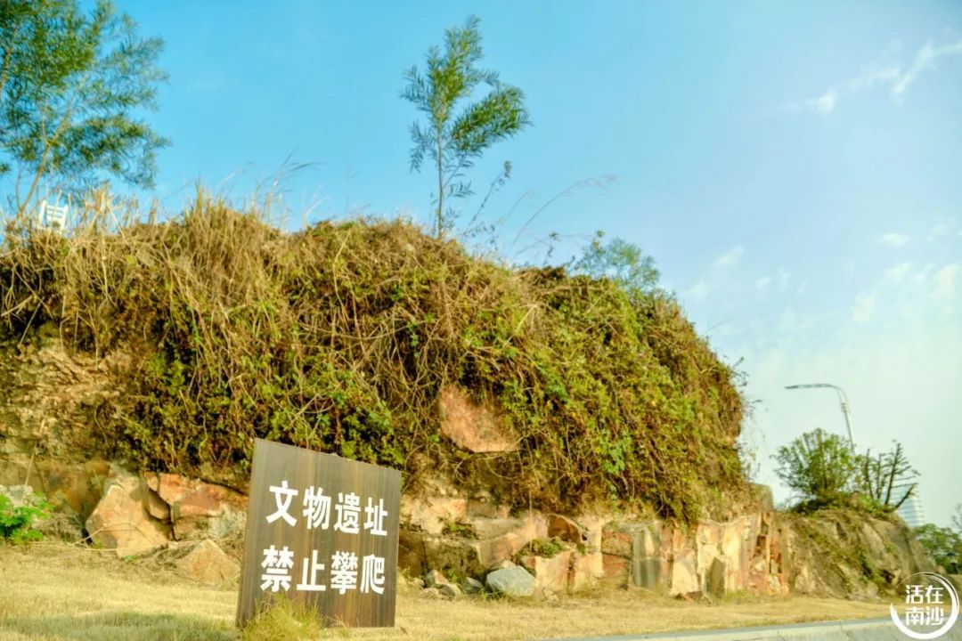 南沙凤凰湖以前叫什么名字,南沙凤凰湖历史