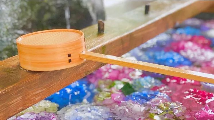 游览日本京都神社,日本旅行神社