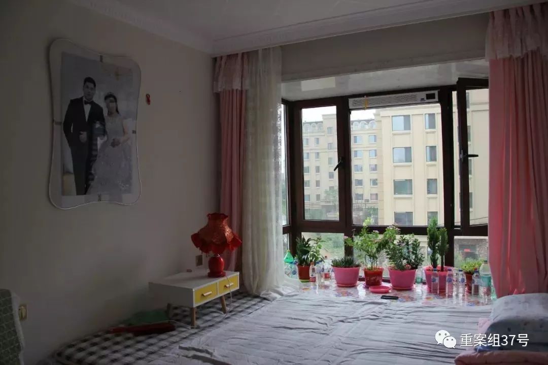 刘忠林离婚判决,刘忠林入狱视频