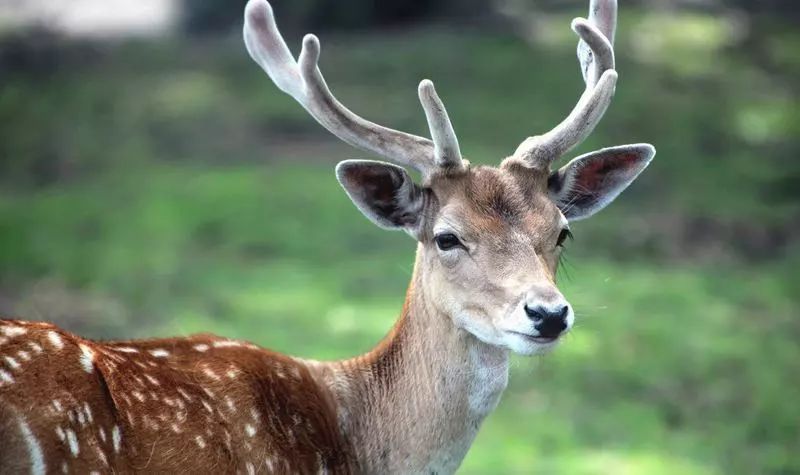 畅玩云南,畅玩永鸿动物园