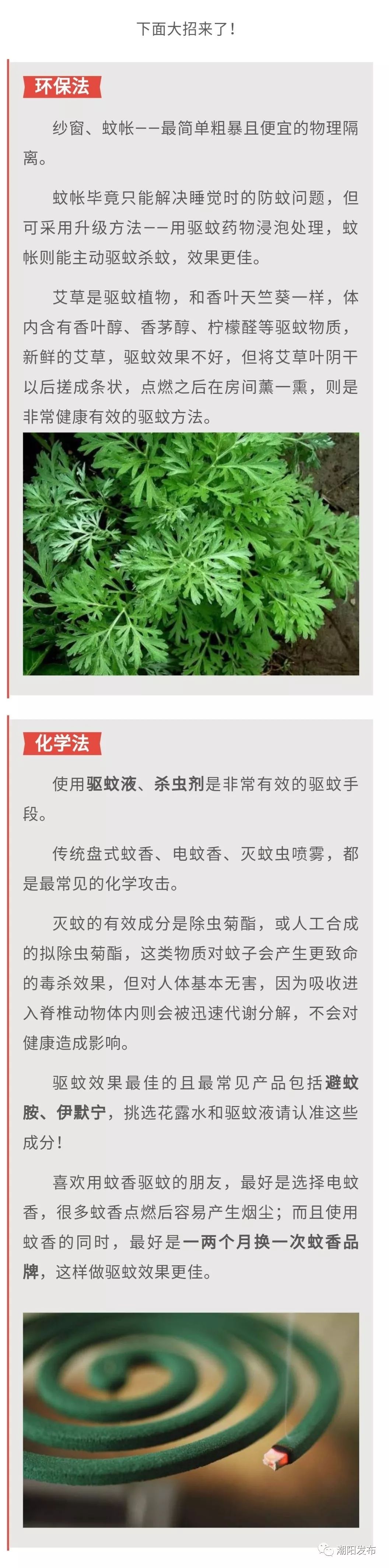 灭蚊最有效方法,这些灭蚊方法最有效你做对了几条