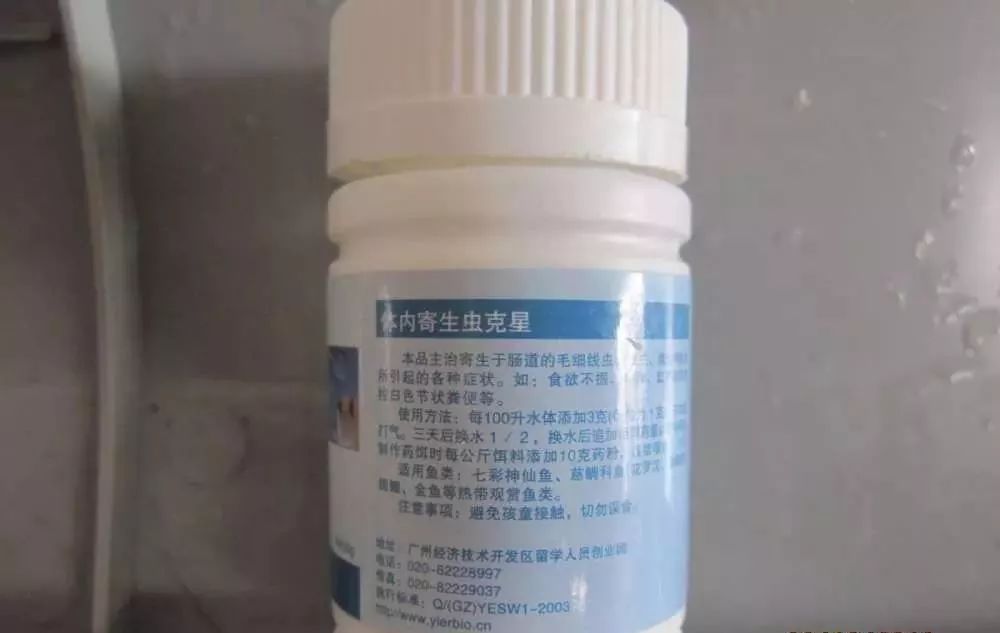 梭菌性肠炎的症状用什么药治疗,慢性肠炎怎么治疗好能彻底去根