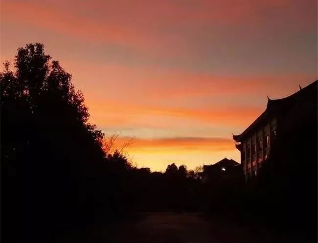 赞！丽江一老师用热爱成就“丽江五十佳教学能手”荣誉