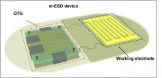 孙杨骚操作,孙杨身穿豹纹泳裤视频