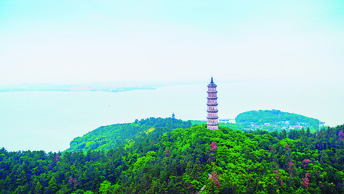 巢湖生态公园,巢湖国家级湿地公园