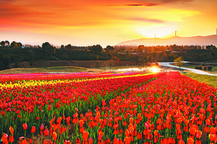 巢湖生态公园,巢湖国家级湿地公园