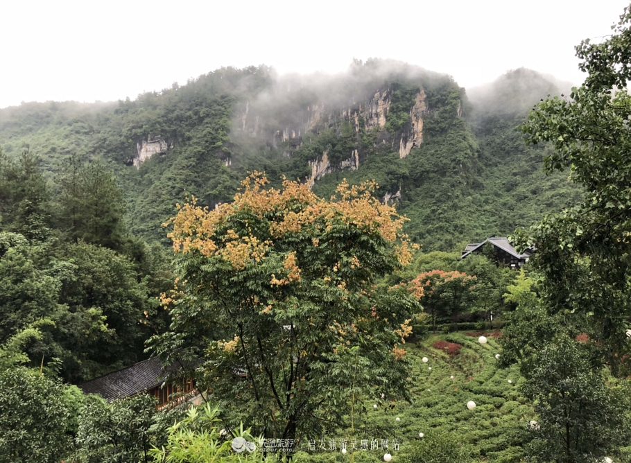 张家界森林公园自由行住宿推荐,张家界国家森林公园旅游住宿攻略