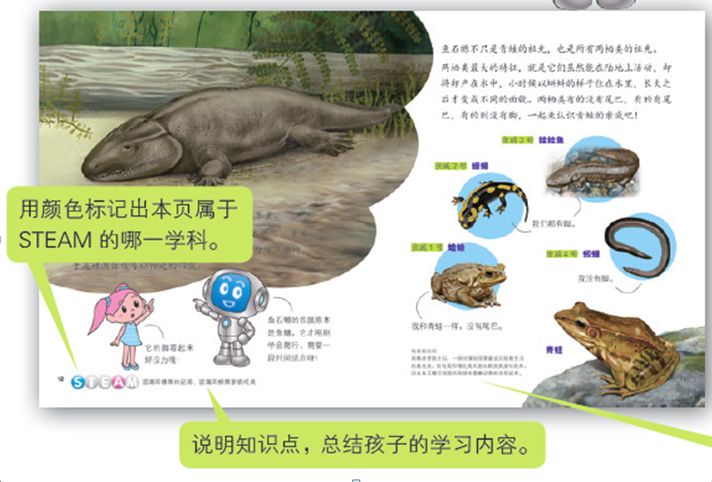 3~7岁孩子必备的科普读物《小小牛顿幼儿馆》，华语世界最有影响力的台湾童书