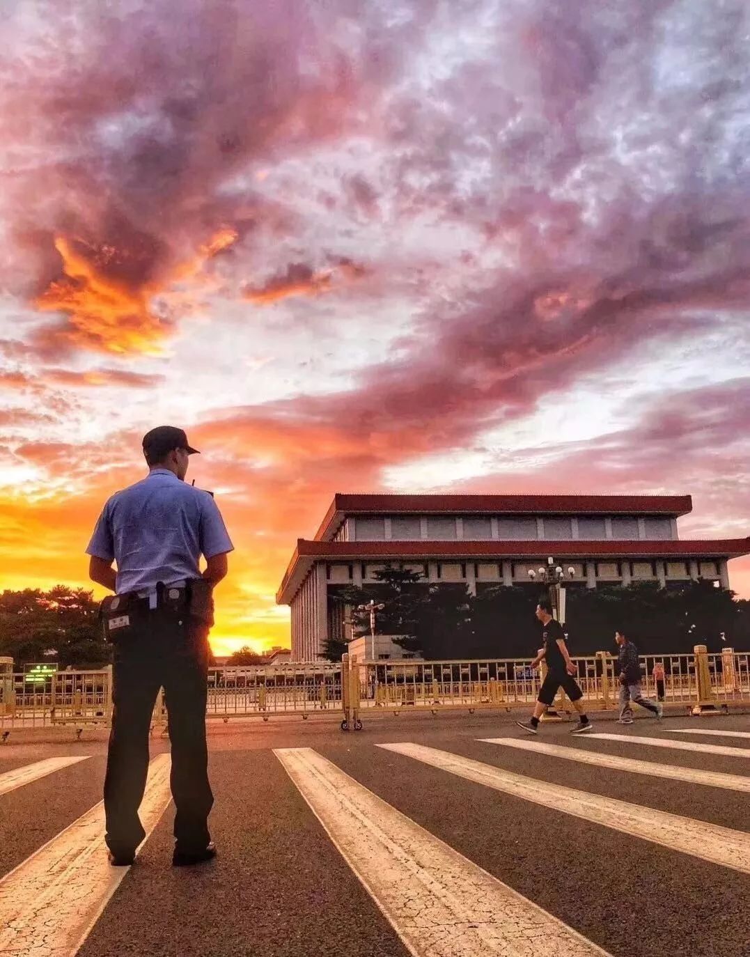 守护者2017在线观看,守护者2017公益