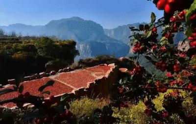 今年十一假期免门票的景点,十一假期景区免门票