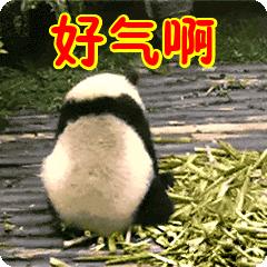 二仙桥网红打卡地春节,二仙桥成打卡圣地