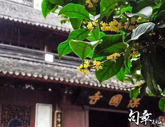 火车来斯，阿狸乐园…国庆到江北玩，先看这篇！躲避拥堵，尽知一切