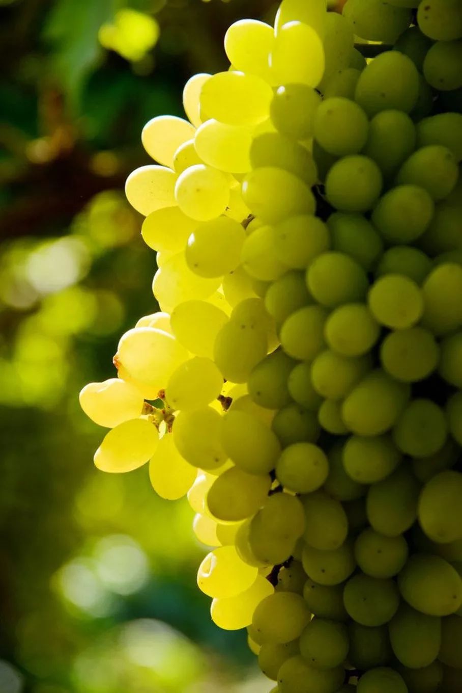 选好出行路线,选日期出行