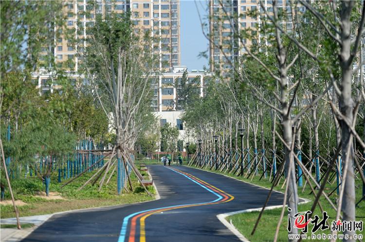 石家庄西兆通公园国庆开园,三只蝴蝶飞舞