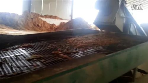 板材十大品牌教你装修板材怎么选,如何从环保角度选择家装板材