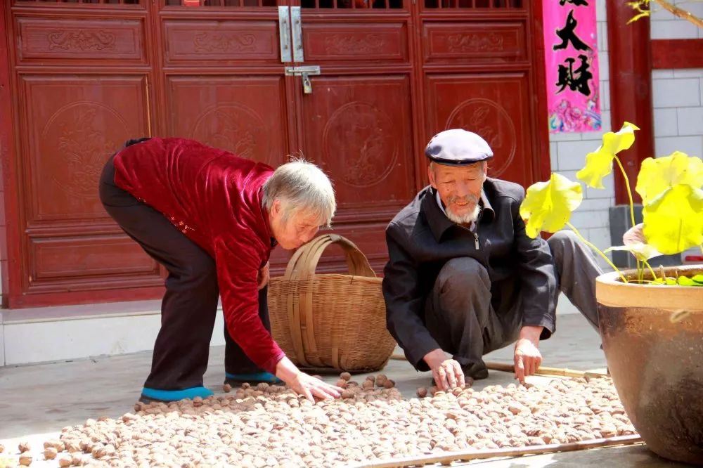 新时代文明实践情暖夕阳红,新时代文明实践者图片