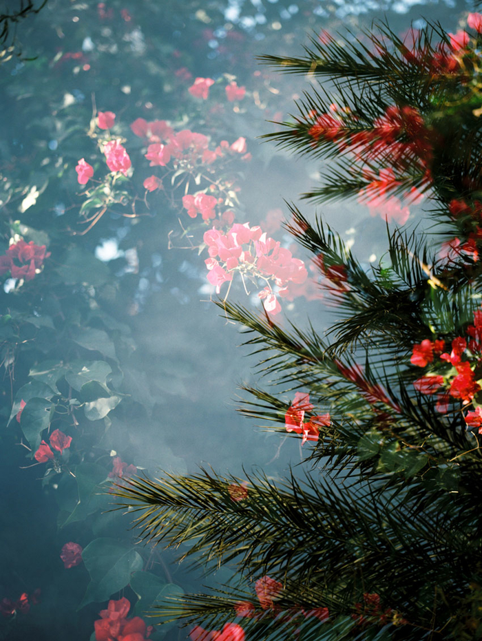 相机质感拍摄技巧,拍照片怎么拍出氛围感水雾