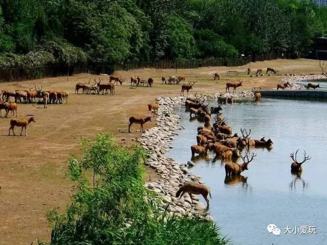 十一北京好玩的地方推荐带孩子去,北京十一旅游好玩的地方推荐一下