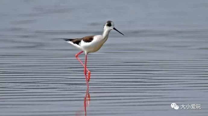 十一北京好玩的地方推荐带孩子去,北京十一旅游好玩的地方推荐一下