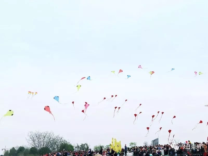 谁不说俺家乡好赛马简谱二胡谱,谁不说俺家乡好在希望的田野上