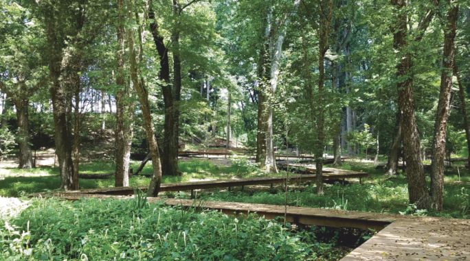 design国际设计大奖,中国设计智造大奖结果