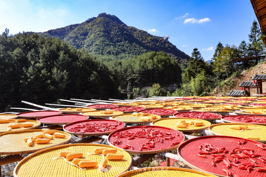 打卡中国第一高塔600米小蛮腰,打卡光明四大网红桥