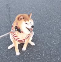 临沂将迎强降温天气,临沂降温