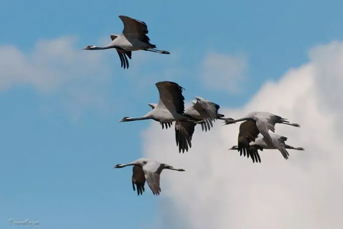 用影像记录我们登顶珠峰的全过程,攀登者观影简短感受100字