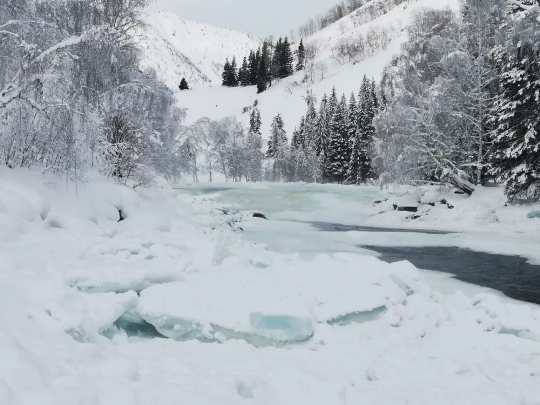 冬天的新疆喀纳斯,冬天是去伊犁还是喀纳斯