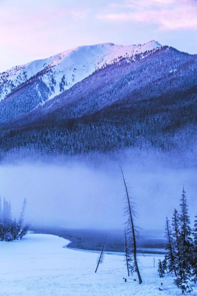 冬天的新疆喀纳斯,冬天是去伊犁还是喀纳斯