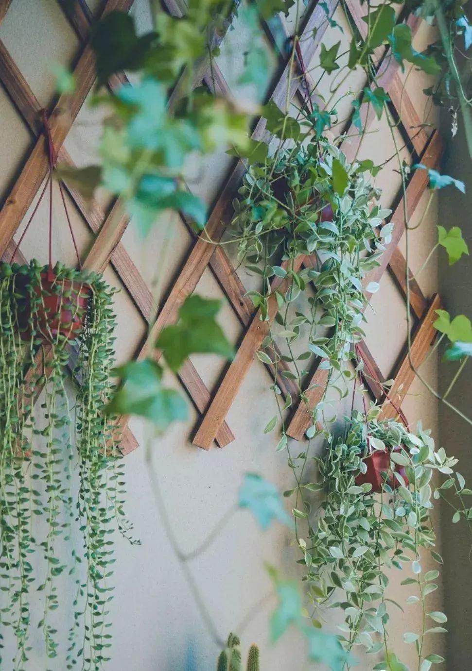 老气89㎡精装房变身杂志Vintage风！眼前一亮的32处细节，每个单品都想要