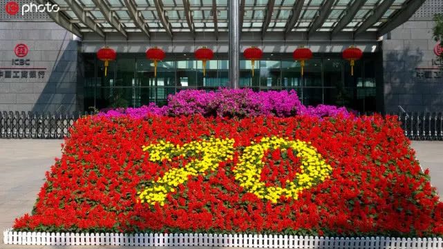 2022年国庆花坛景观图片大全,国庆节拍到的最美花海