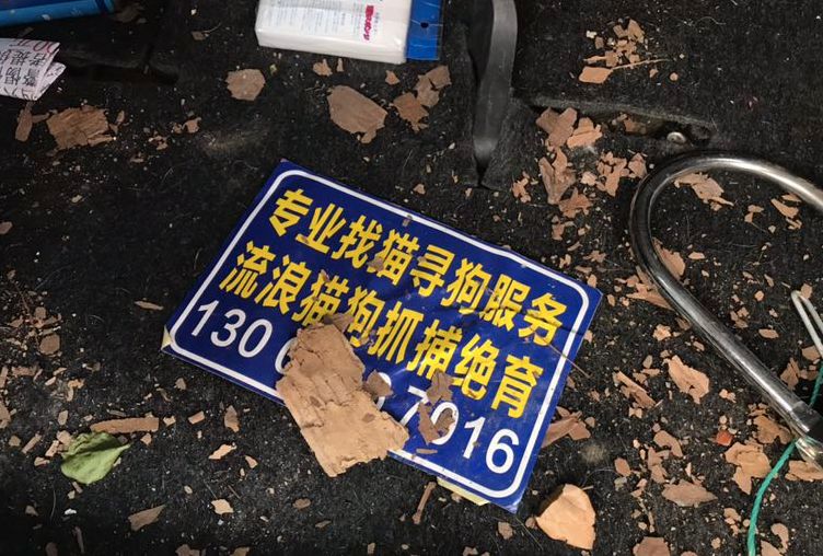 宠物“侦探”：摸透了猫狗习性，也看到了复杂人性