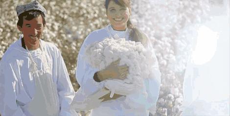 看完你就知道要怎么选*裤内**了