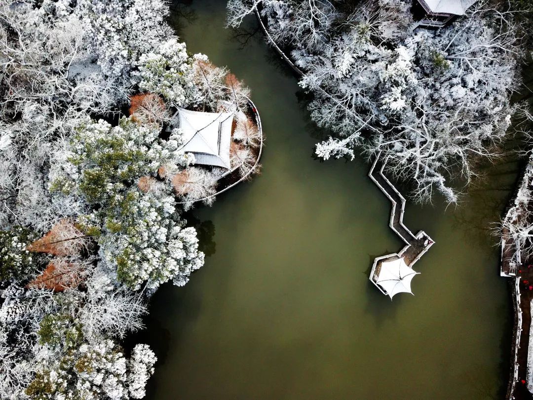 年内建成赵巷公园、翔江公园等5座公园,实现“百个公园”目标!“美丽嘉定”愈发精秀怡人