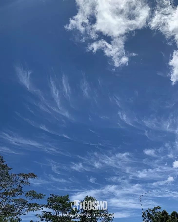 秦舒培介绍自己,秦舒培是一个怎样的人