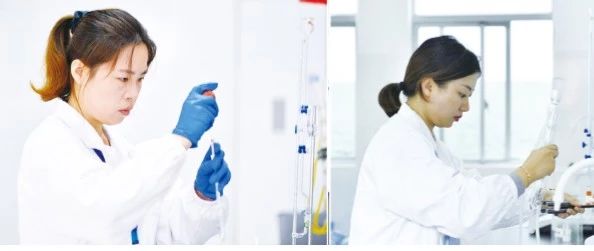 浙有好故事关于吴越文化,浙有好故事非遗故事内容