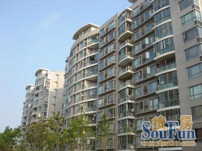 大唐国际公寓开盘价,大唐国际公寓哪个好