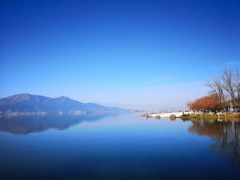 美得不用滤镜!带你邂逅“一个春天的城市”,一辈子一定要去一次