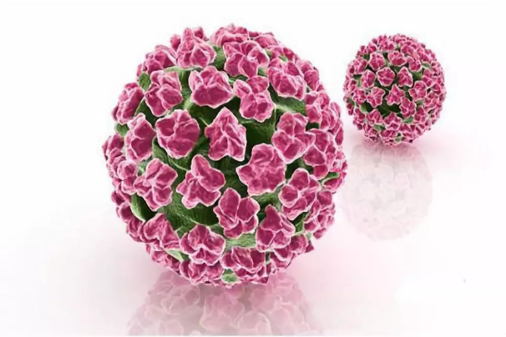 和hpv接触一定会被传染吗,接触了hpv患者一定会传染吗