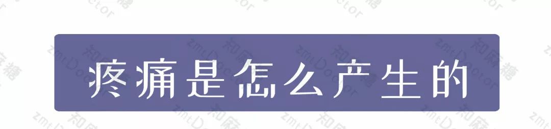 世界镇痛日摆脱疼痛杜绝亚健康,世界镇痛日主题