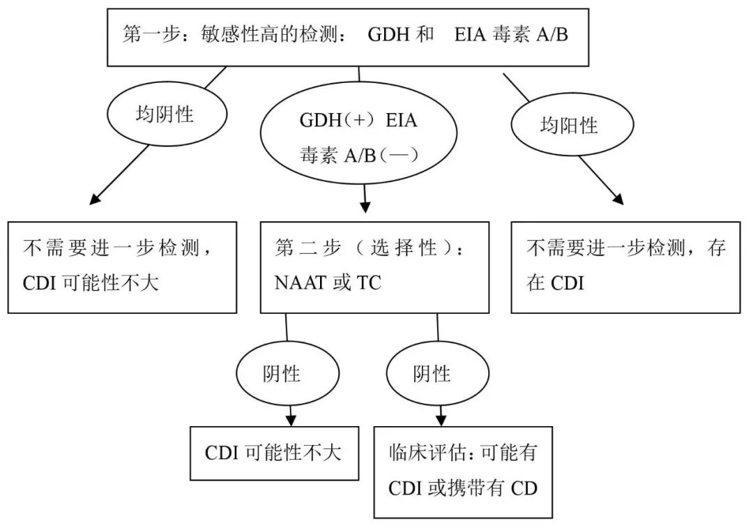 抗生素相关性腹泻,肠道菌群失调和肠炎的区别