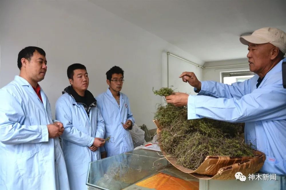 不忘医者初心牢记健康使命完整版,不忘医者初心牢记行医使命演讲