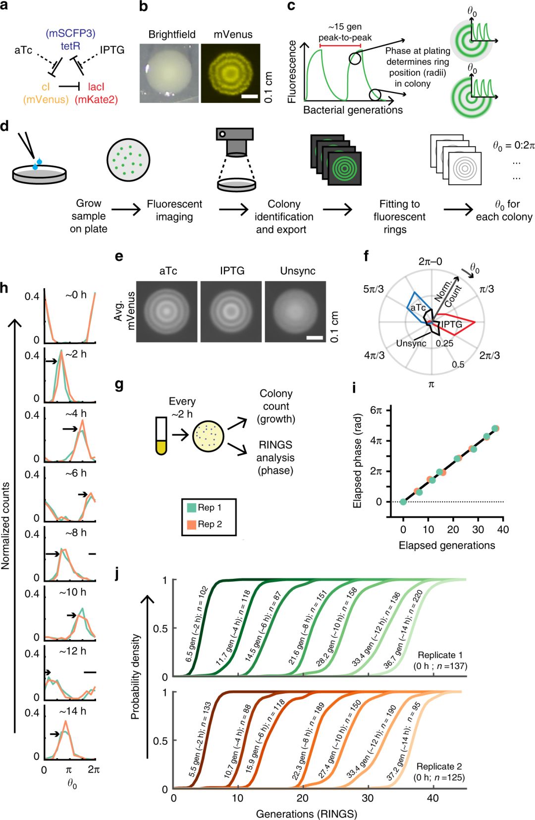 10月，33篇必读微生物研究：癌症、微生物药物、脑肠轴、皮肤-肠道轴、共生病毒、阴道微生物、菌群免疫互作、肠道黏液、粪菌移植