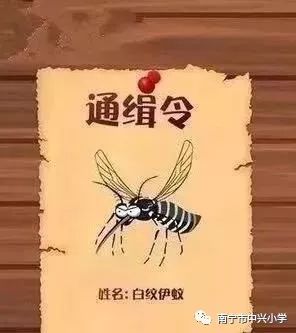 预防登革热致家长的一封信,通知家长做好预防登革热的通知