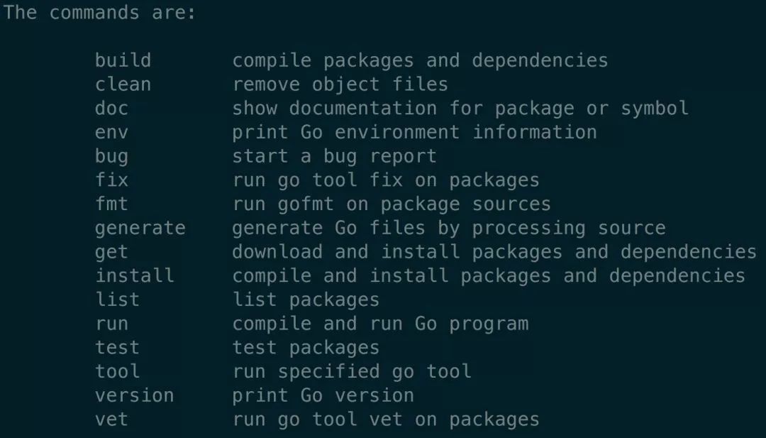 go编程入门全过程,万字长文深度解析